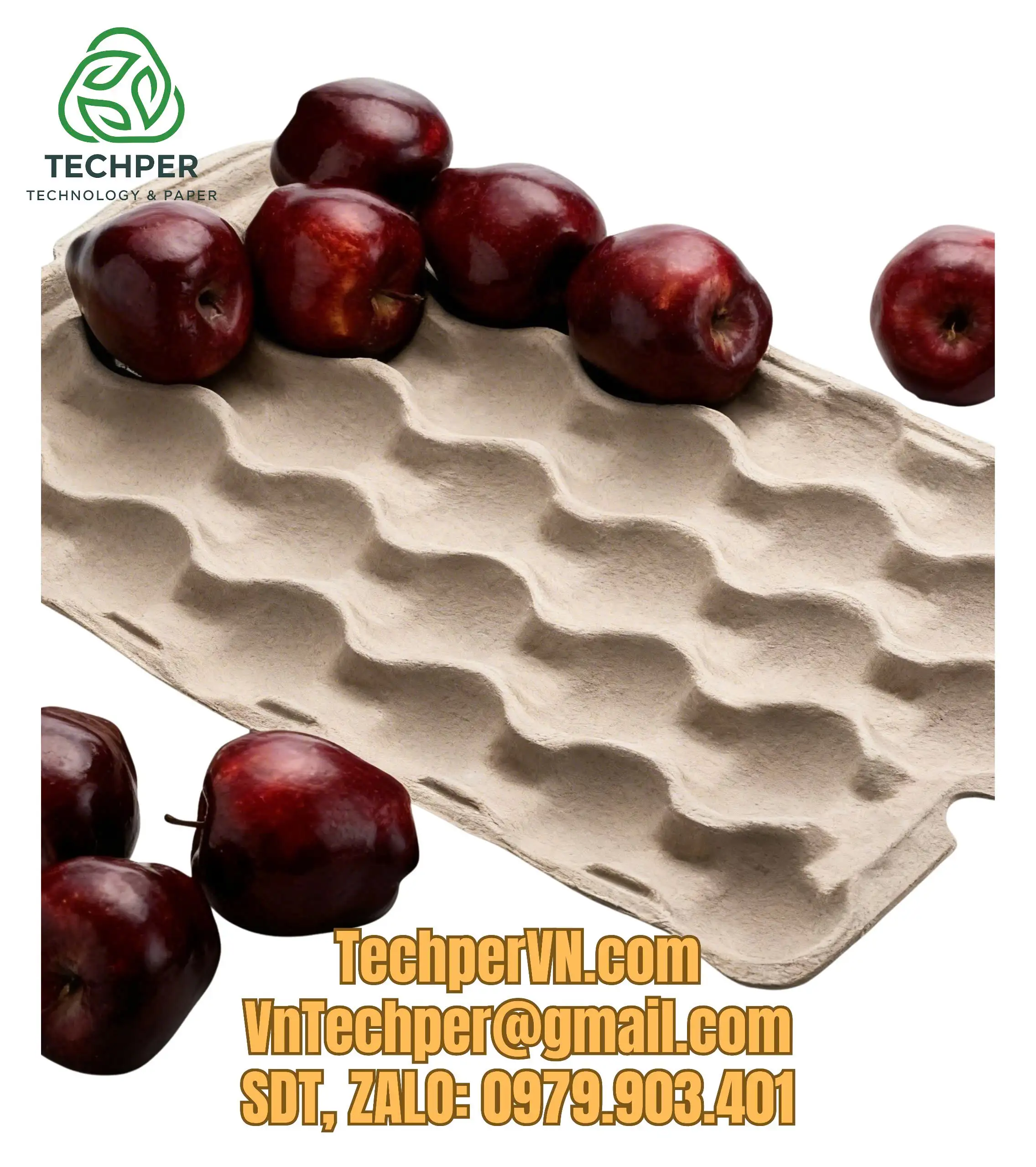 Techper Technology JSC: Leading the Growth of Aluminum Pulp Molds in Sustainable Packaging